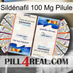 Sildénafil 100 Mg Pilule kamagra1